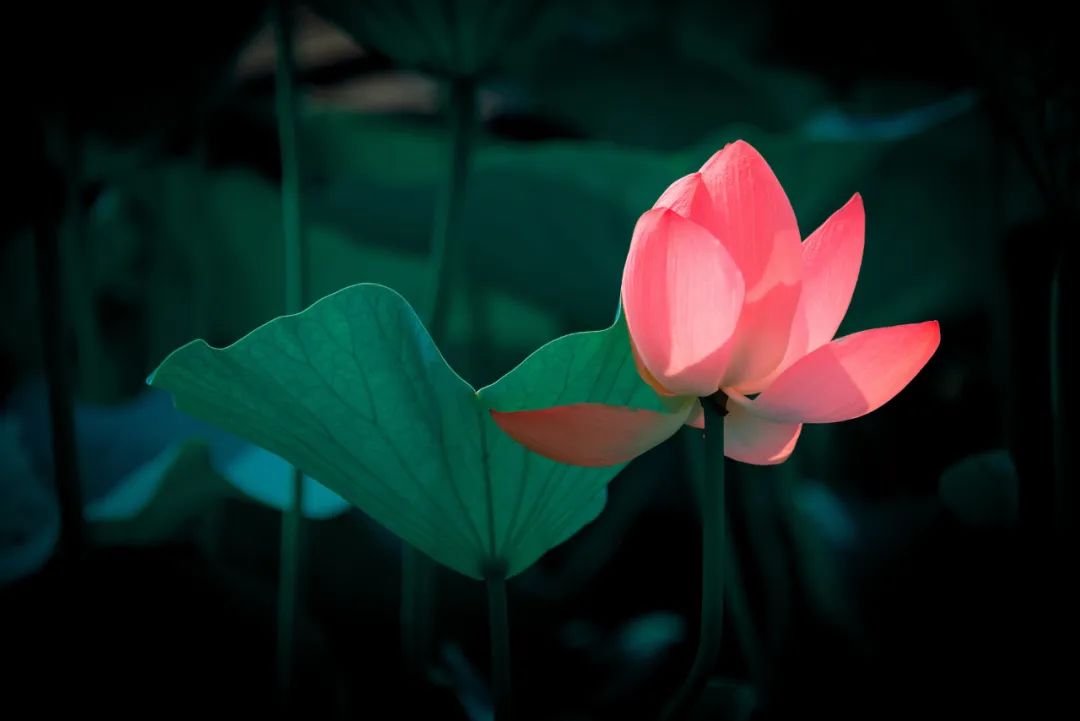 父亲梦见十个神仙，说这是块宝地，可房子还是被拆了，背后的原因竟是······