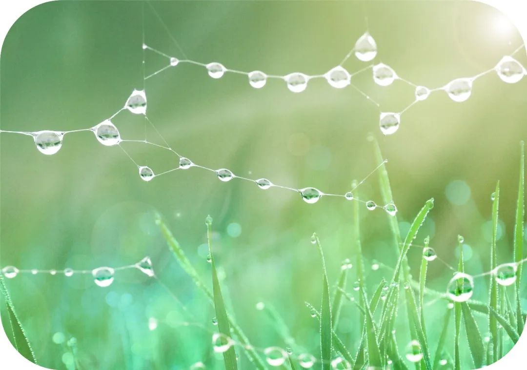 观音成道日纪念什么?滴滴杨枝露,化作人间救苦方