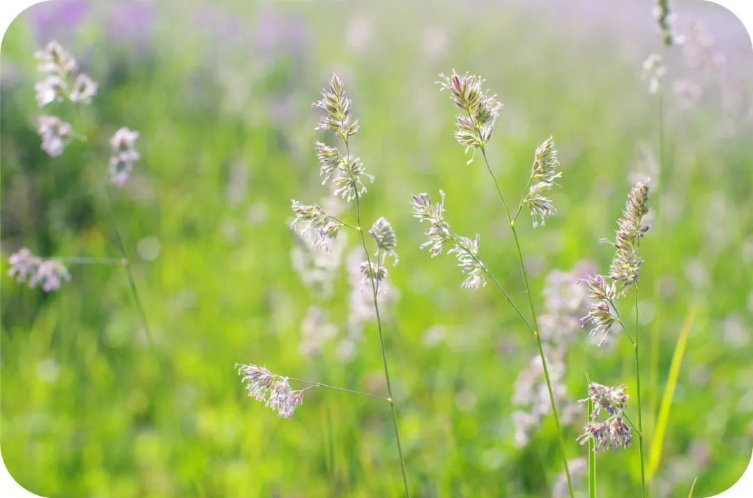 他一梦见到前世，曾拥大福报却不知珍惜，八十岁一夜暴亡时仍未醒悟