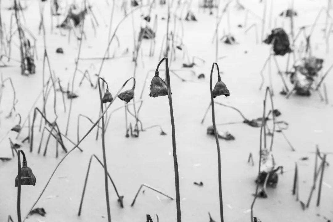 挣钱的方法不对，能够毁掉你的一切好运气！