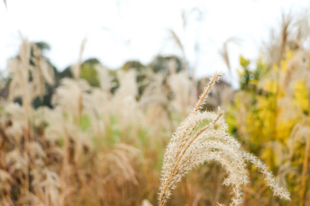 挣钱的方法不对，能够毁掉你的一切好运气！