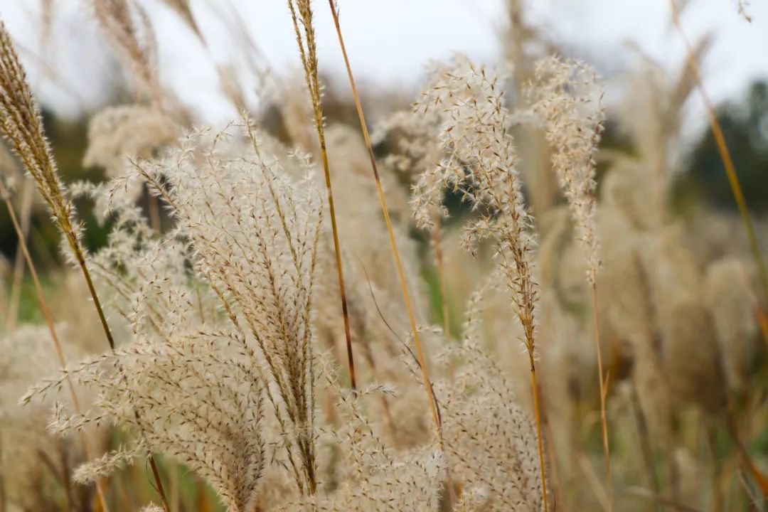 挣钱的方法不对，能够毁掉你的一切好运气！