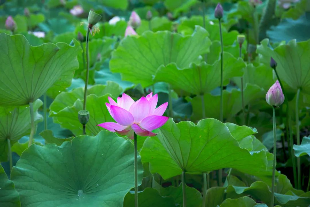 挣钱的方法不对，能够毁掉你的一切好运气！
